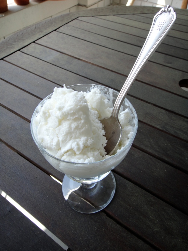 Coconut Frozen Yogurt